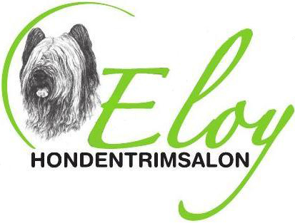 LOGO_eloy (2)